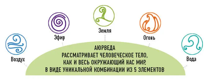 Наше тело пространство Эфир для пищи органов костей и даже мыслей - фото 7