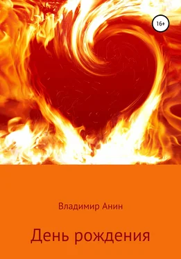 Владимир Анин День рождения обложка книги