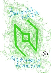 Альфамер Асакура - Законы Raim