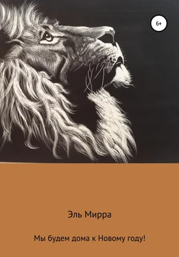 Эль Мирра Мы будем дома к Новому году! обложка книги