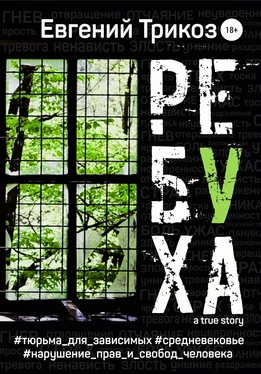 Евгений Трикоз Ребуха обложка книги
