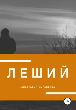 Анастасия Муравьева Леший обложка книги