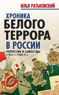 Илья Ратьковский Хроника белого террора в России. Репрессии и самосуды (1917–1920 гг.) обложка книги