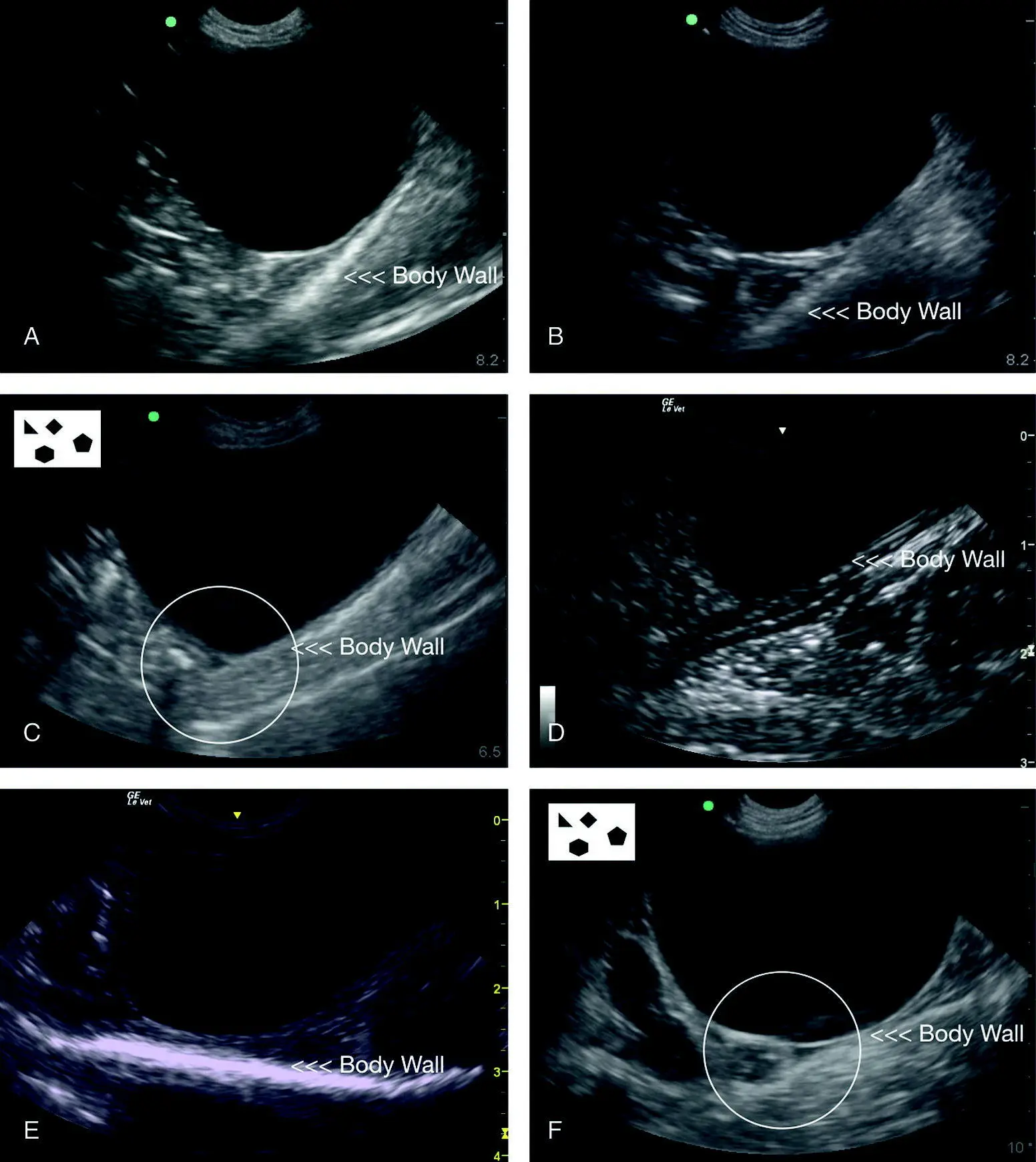 Figure 624 Examples of typical negative studies at the CC view In all these - фото 71