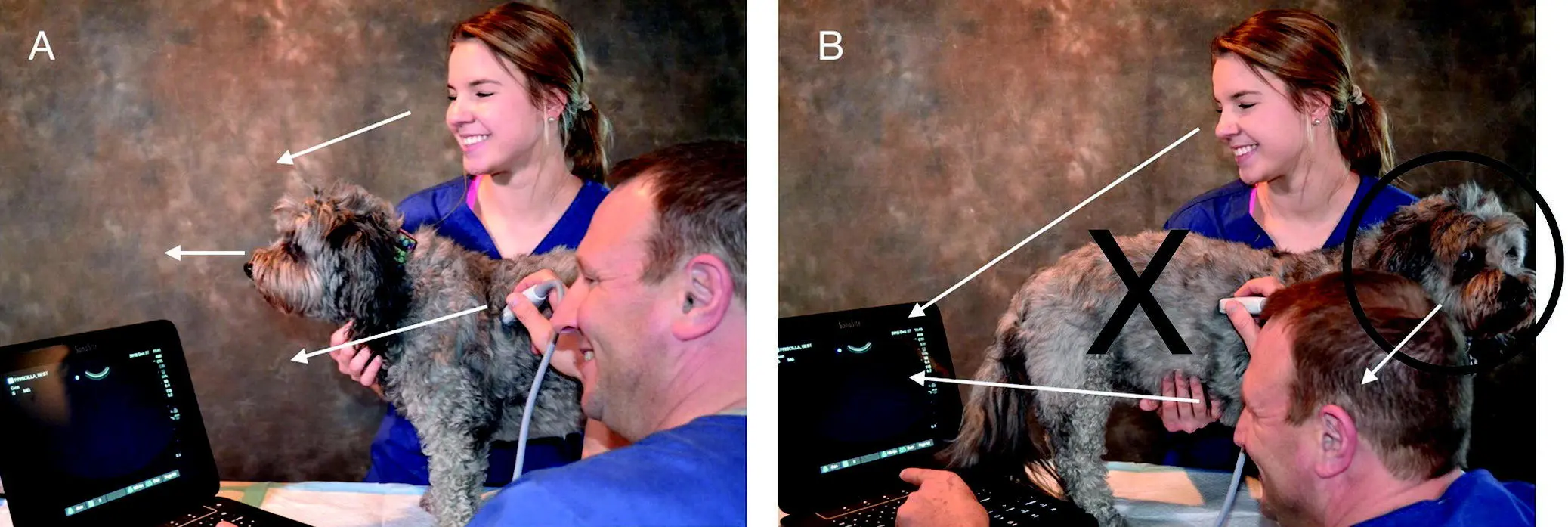 Figure 53 Best practice is the head of the patient and machine in the same - фото 35