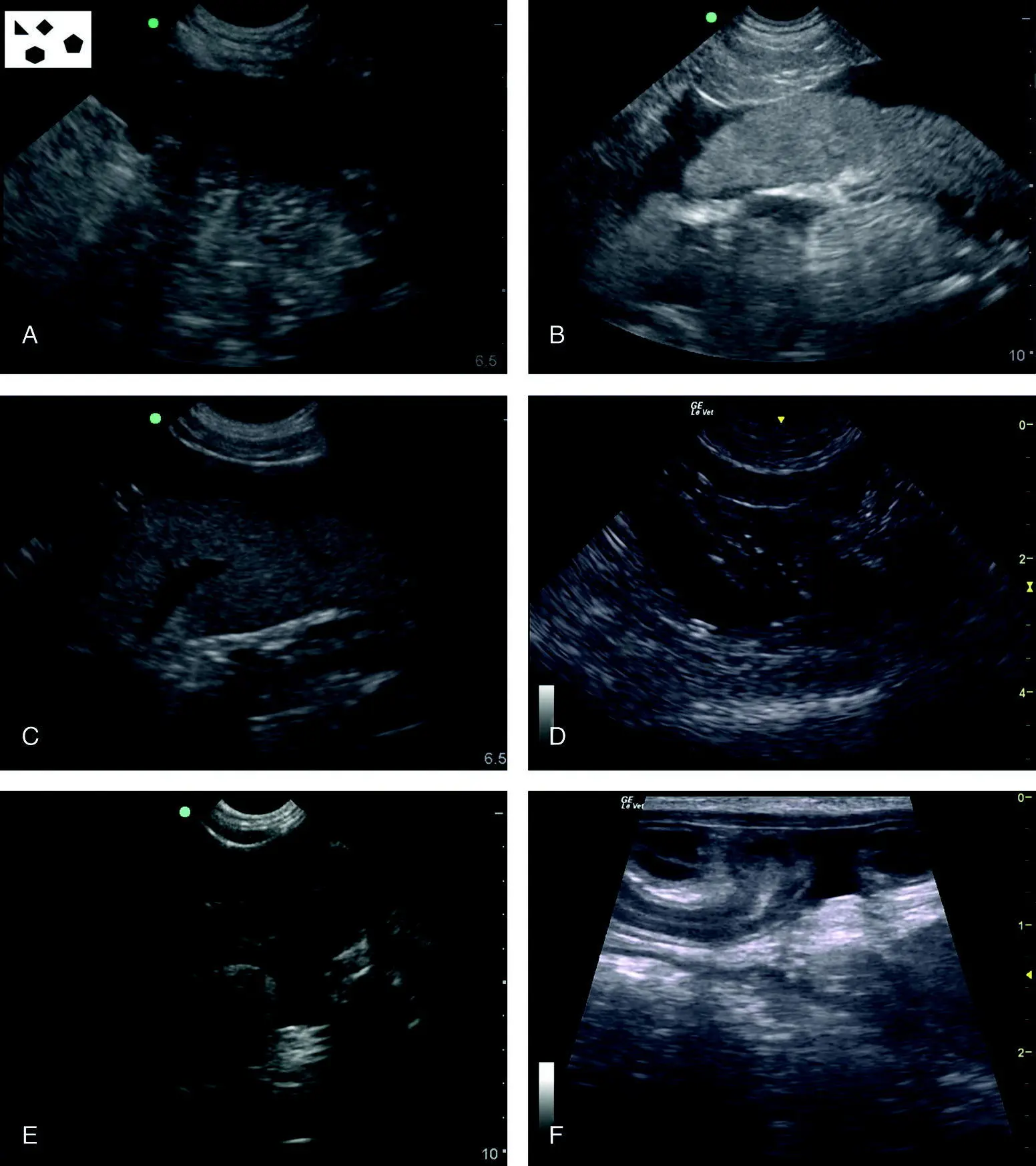 Figure 632 Examples of typical positive studies at the HRU SRU view In A - фото 79