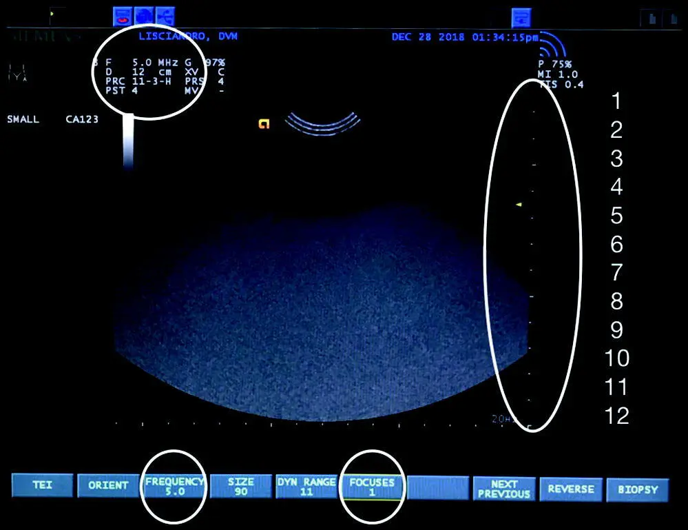 Figure 513 Depth setting and the centimeter scale The image is the same as - фото 45