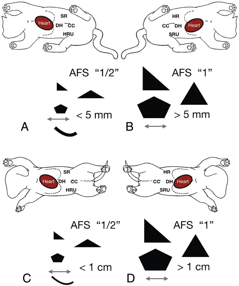 Figure 72 The measurement modification of the AFASTapplied abdominal fluid - фото 82