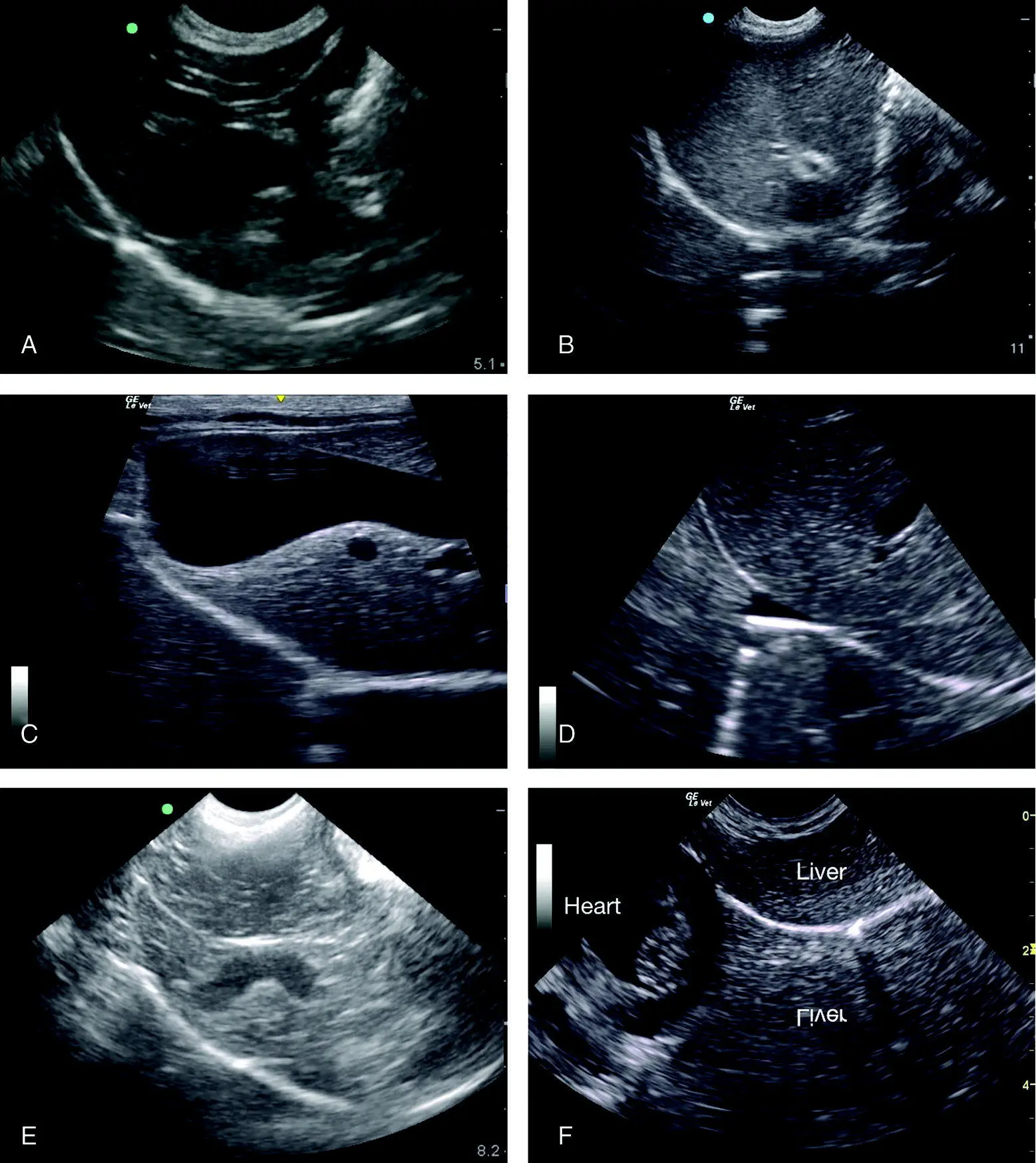 Figure 69 Images showing various anatomic features at the DH view None of - фото 56
