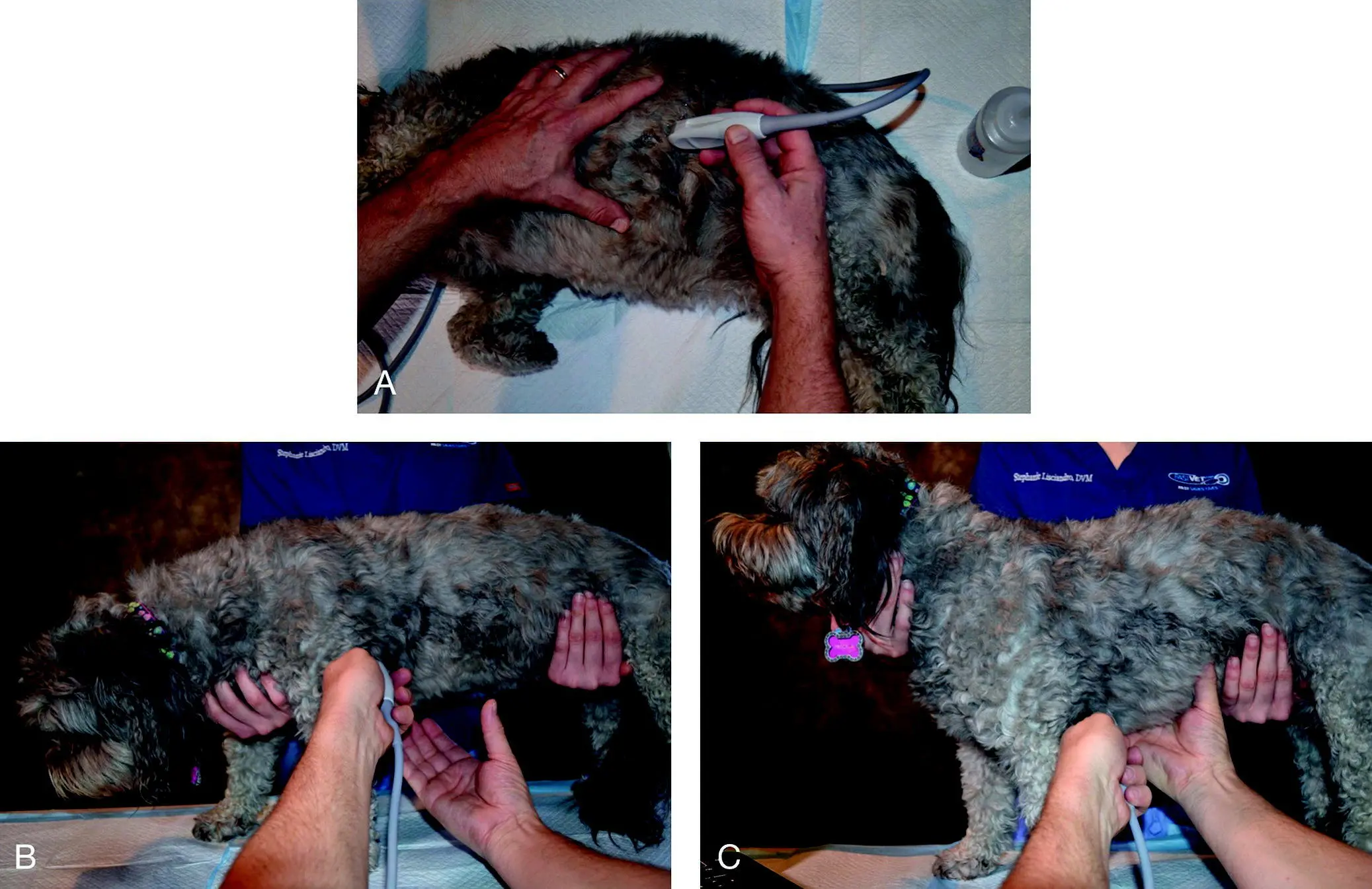 Figure 54 The helper hand and probe hand make a difference In A the helper - фото 36