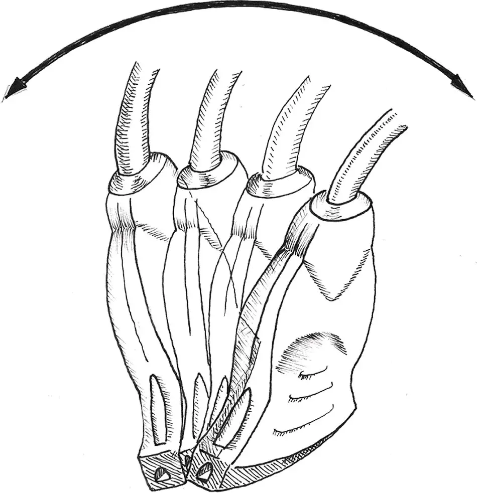 Figure 47 Fanning The position of the probe is not moved on the patient and - фото 28