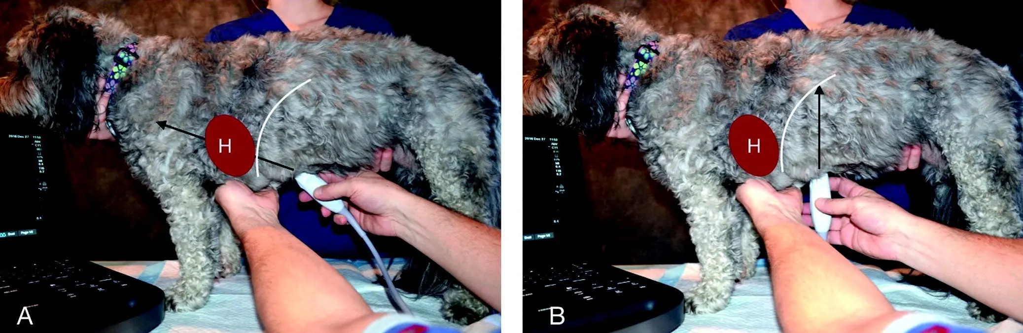 Figure 510 Paying attention to the direction of the beam If the sonographer - фото 42