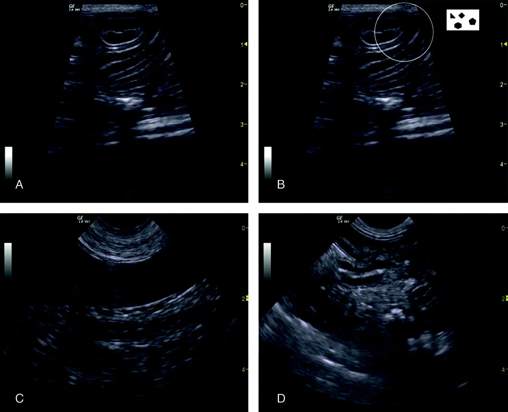Figure 631 Examples of typical negative studies at the HRU SRU view The - фото 78