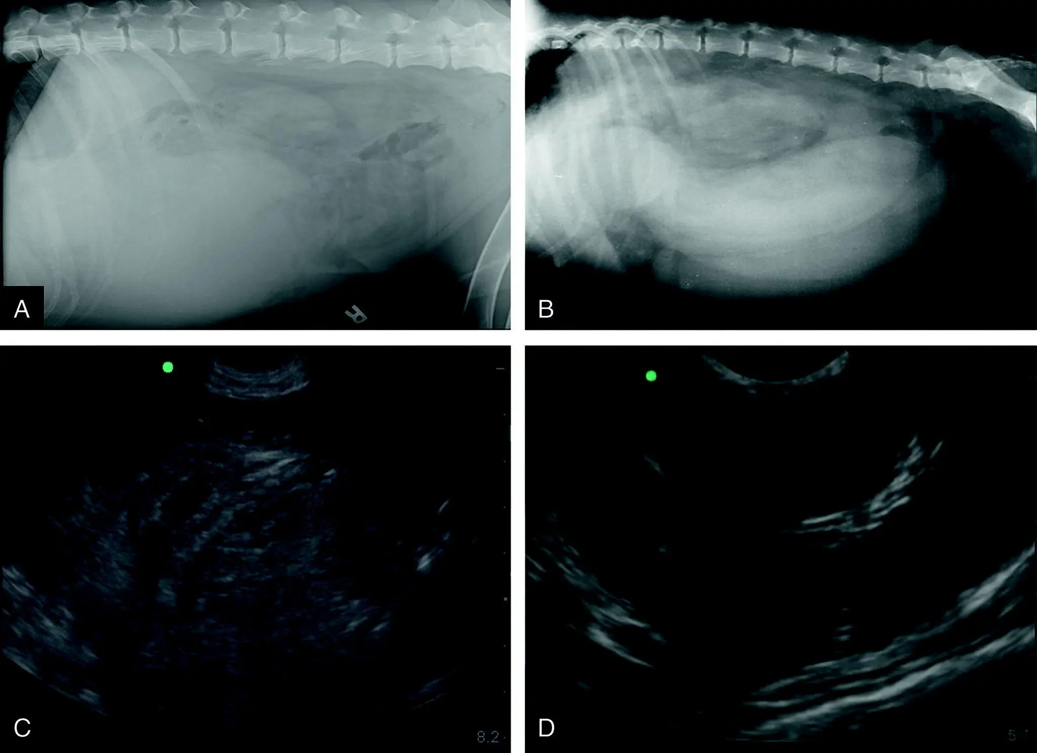 Figure 633 False positives at the HRU SRU view In A and C are the - фото 80