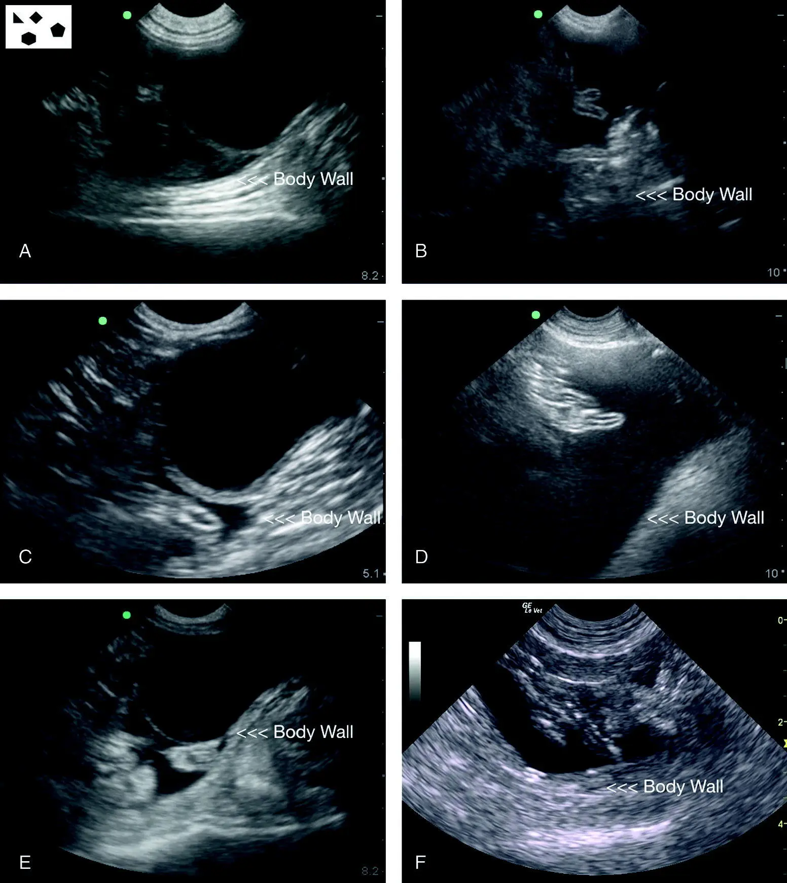 Figure 625 Examples of typical positive studies at the CC view In A C - фото 72
