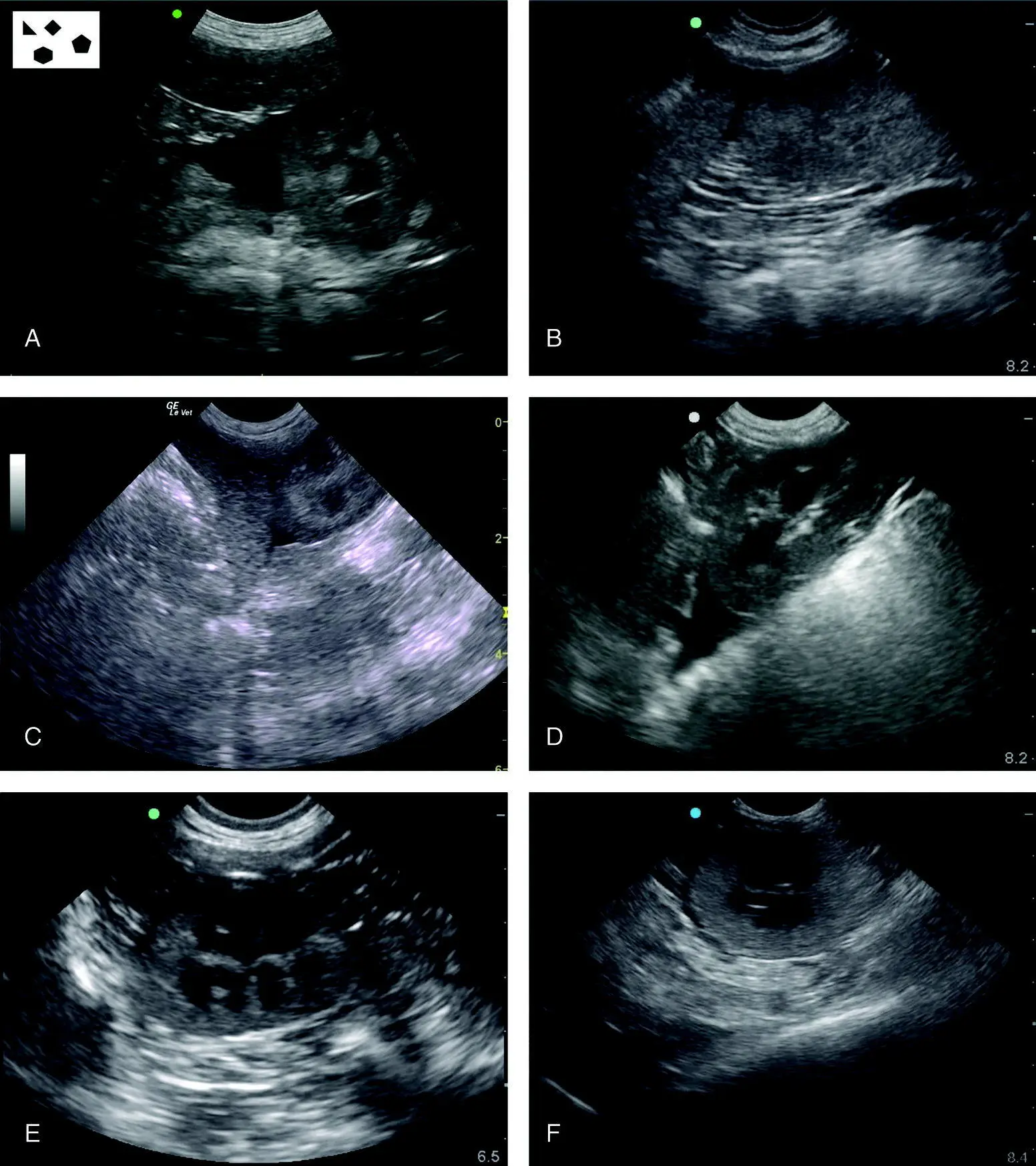 Figure 619 Examples of typical positive studies at the SR view In A the - фото 66