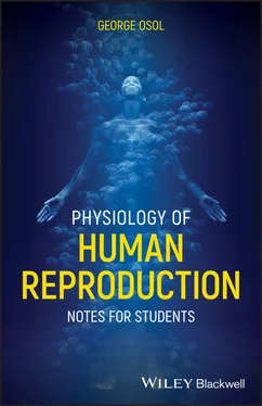George Osol Physiology of Human Reproduction обложка книги