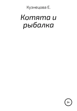 Евгения Кузнецова Котята и рыбалка обложка книги