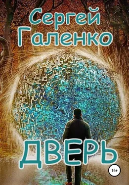 Сергей Галенко Дверь обложка книги