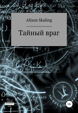 Alison Skaling Тайный враг обложка книги