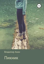 Владимир Анин - Пикник
