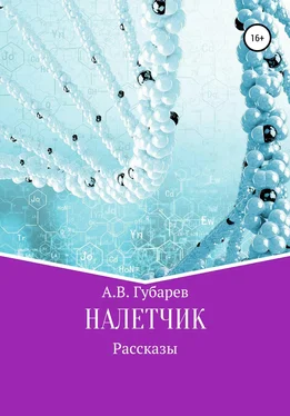 Алексей Губарев Налетчик обложка книги