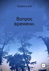 Cheshire Cat - Вопрос времени