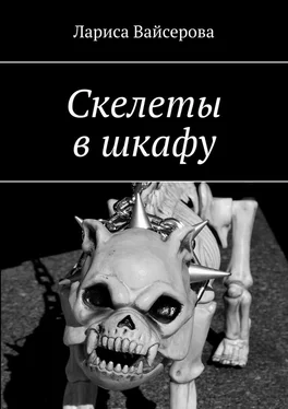 Лариса Вайсерова Скелеты в шкафу обложка книги