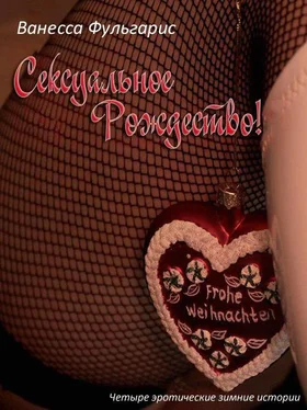 Ванесса Фульгарис Сексуальное Рождество обложка книги