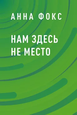 Анна Фокс Нам здесь не место обложка книги