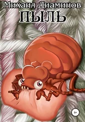 Михаил Диаминов - Пыль