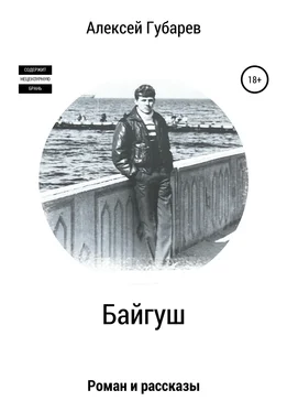 Алексей Губарев Байгуш обложка книги