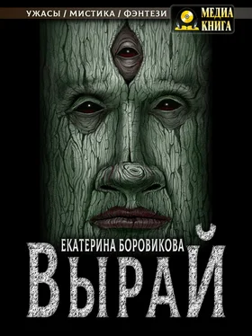 Екатерина Боровикова Вырай. Книга 1 обложка книги