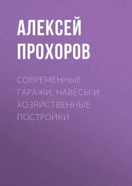 Алексей Прохоров Современные гаражи, навесы и хозяйственные постройки обложка книги