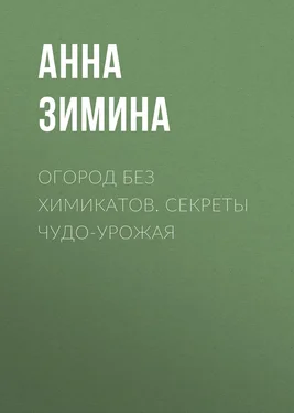 Анна Зимина Огород без химикатов. Секреты чудо-урожая обложка книги