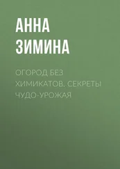Анна Зимина - Огород без химикатов. Секреты чудо-урожая