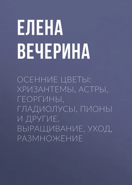 Елена Вечерина Осенние цветы: хризантемы, астры, георгины, гладиолусы, пионы и другие. Выращивание, уход, размножение обложка книги