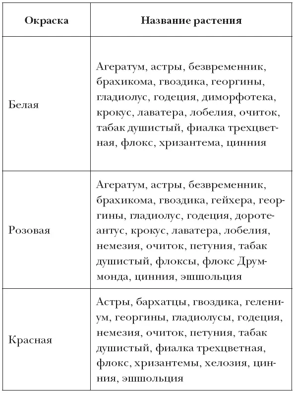 Осенние цветы хризантемы астры георгины гладиолусы пионы и другие Выращивание уход размножение - фото 7