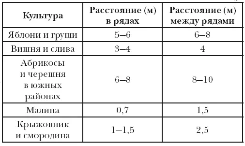 Если садовый участок пустой и на нем нет никаких деревьев и кустарников то - фото 2