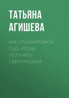 Татьяна Агишева Как спланировать сад, чтобы получить сверхурожай обложка книги