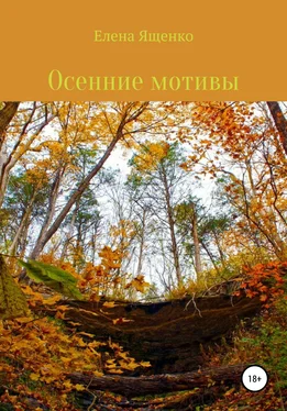 Елена Ященко Осенние мотивы обложка книги