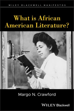 Margo N. Crawford What is African American Literature? обложка книги