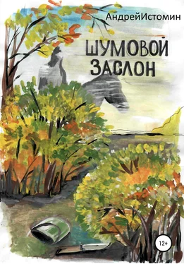 Андрей Истомин Шумовой заслон обложка книги