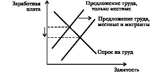 РИС 21 Экономическая теория на салфетке Почему иммигранты должны сделать - фото 1
