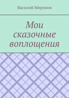 Василий Миронов Мои сказочные воплощения обложка книги