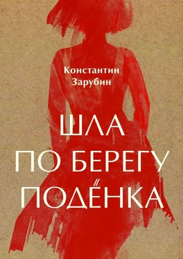 Константин Зарубин Шла по берегу подёнка. Балтийская повесть обложка книги