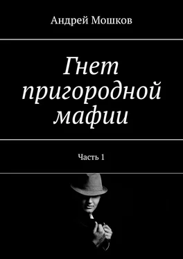 Андрей Мошков Гнет пригородной мафии. Часть 1 обложка книги
