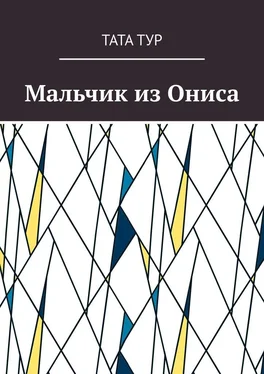 Тата Тур Мальчик из Ониса обложка книги