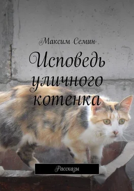 Максим Семин Исповедь уличного котенка. Рассказы обложка книги