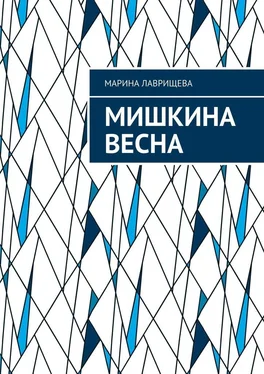Марина Лаврищева Мишкина весна обложка книги